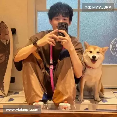 陆雍泰